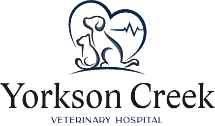 Yorkson Creek Veterinary Hospital
